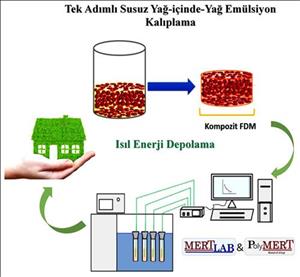 21e5c3a4-01e2-4669-acf9-19f084143d7b-proje-graphical-abstract.jpg
